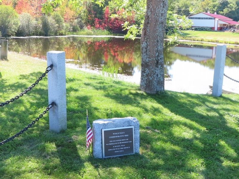 World War II Commemorative Tree Marker image. Click for full size.