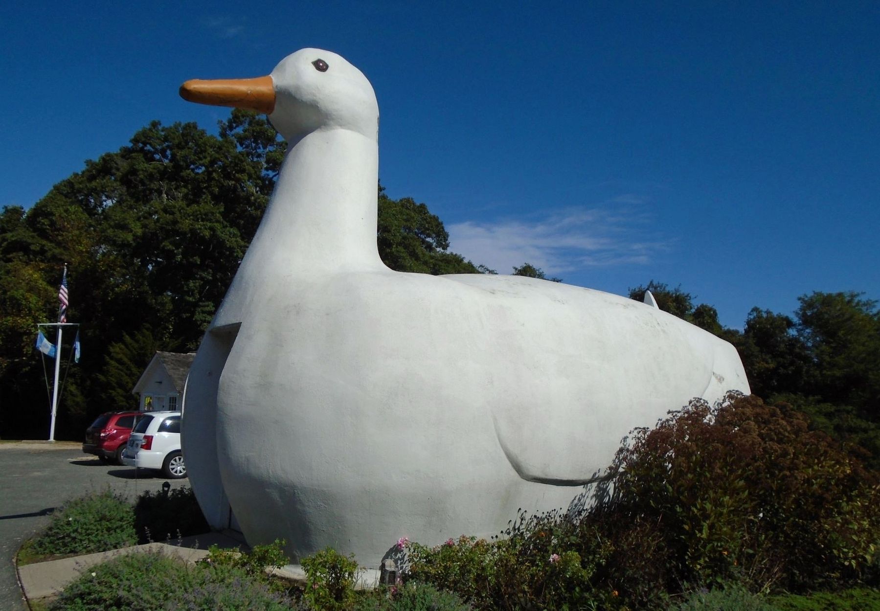 The Big Duck. Click for full size. The Big Duck image. Click for full size.