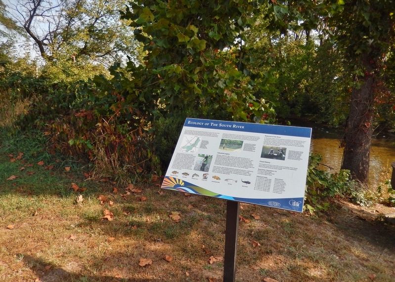 Ecology of the South River Marker<br>(<i>wide view &bull; South River in background</i>) image. Click for full size.