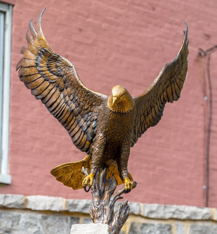 William Cammack Campbell American Eagle. Click for full size. William Cammack Campbell American Eagle image. Click for full size.