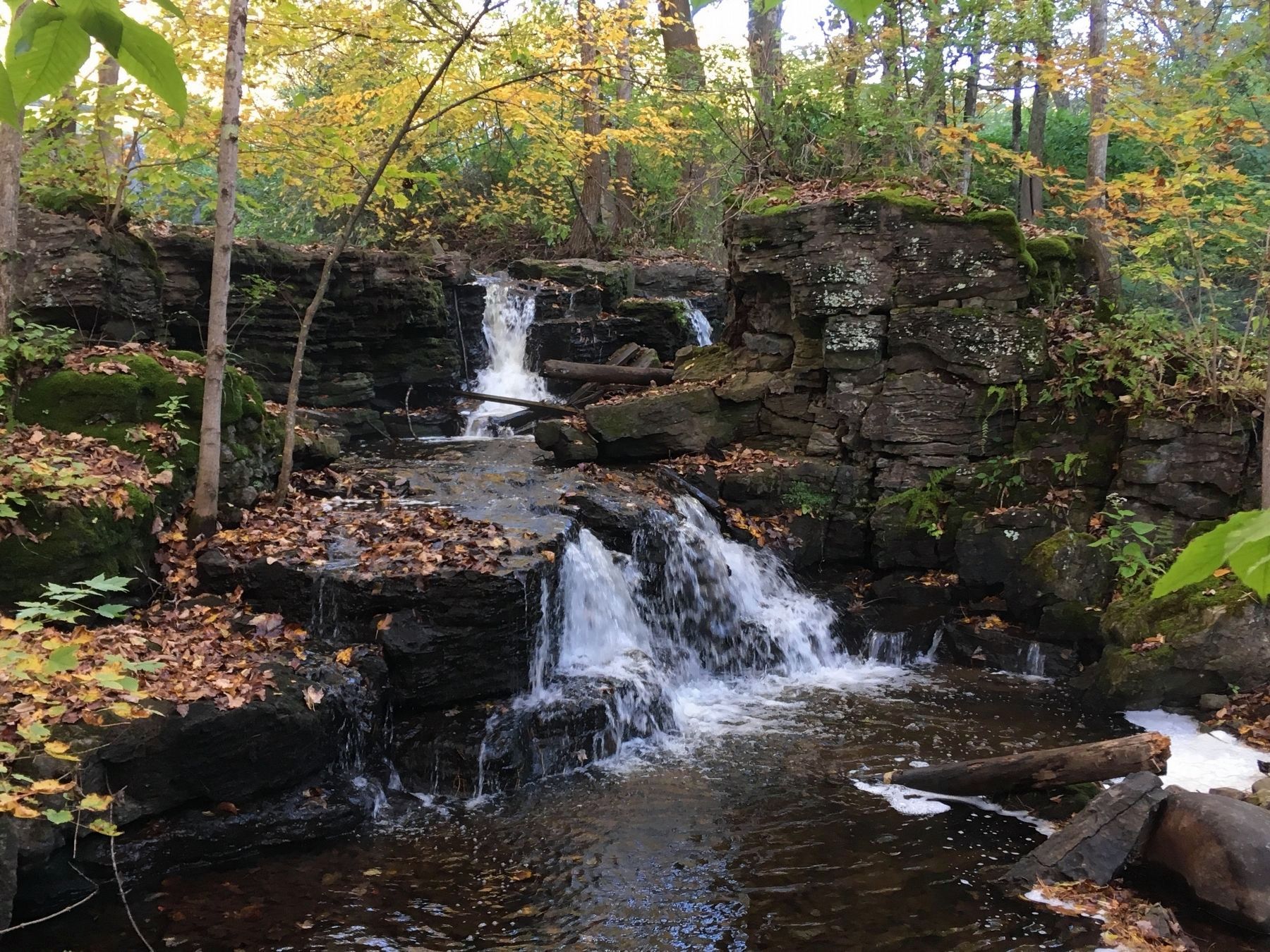 Glowegee Creek. Click for full size. Glowegee Creek image. Click for full size.
