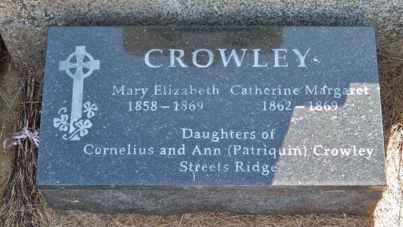 Mary & Catherine Crowley Grave Marker image. Click for full size.