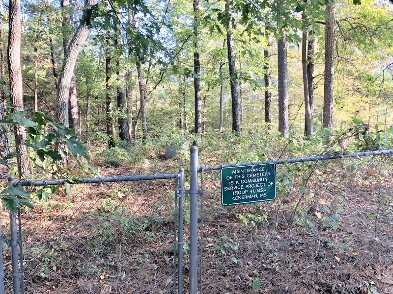 Shiloh Methodist Cemetery. Click for full size. Shiloh Methodist Cemetery image. Click for full size.