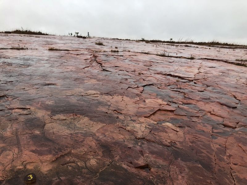 Jeffers Petroglyphs. Click for full size. Jeffers Petroglyphs image. Click for full size.