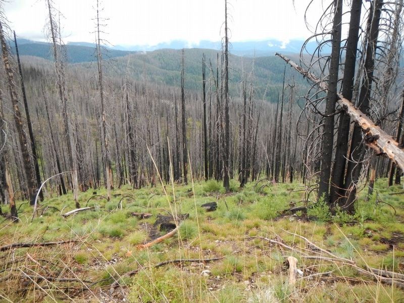 Looking South; View of the Hungery Creek drainage image. Click for full size.