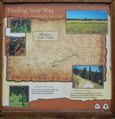 Finding Your Way image. Click for full size.