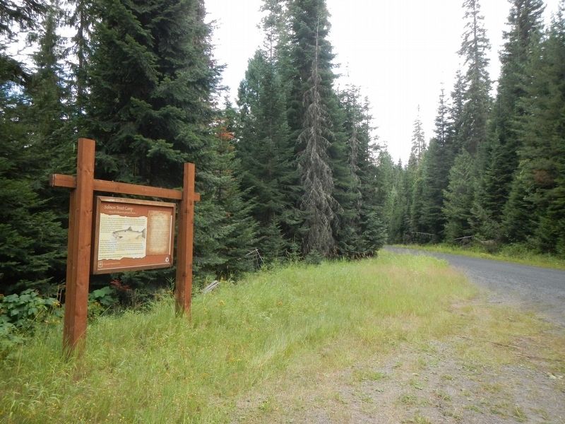 Salmon Trout Camp Marker. Click for full size. Salmon Trout Camp Marker image. Click for full size.
