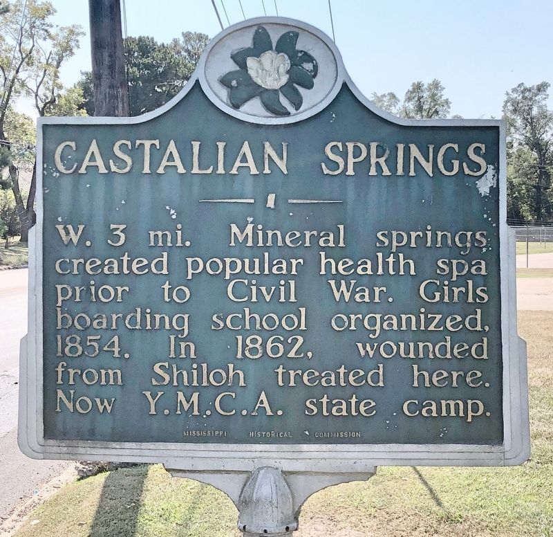 Castalian Springs Marker image. Click for full size.