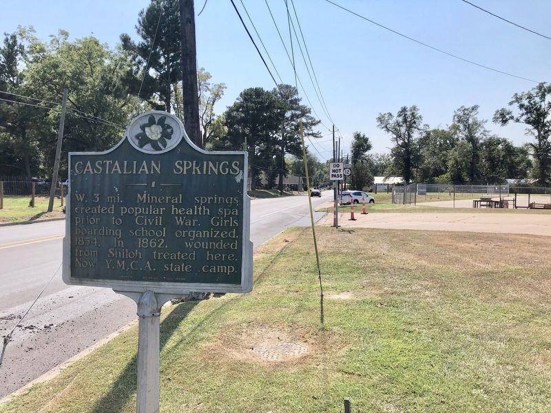 Castalian Springs Marker looking south into town. image. Click for full size.