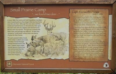 Small Prairie Camp Marker image. Click for full size.