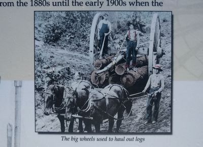 The Lumbering Era Marker - upper middle image image. Click for full size.