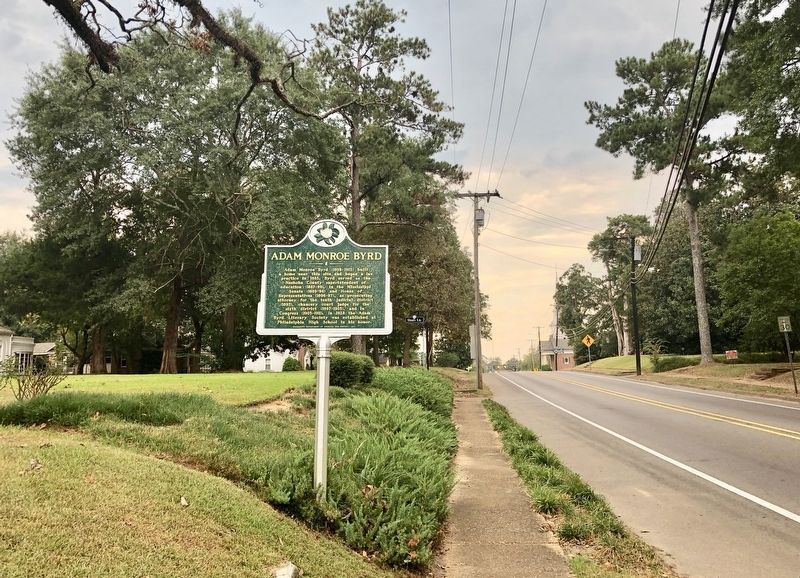 Looking south on Pecan Avenue towards downtown. image. Click for full size.