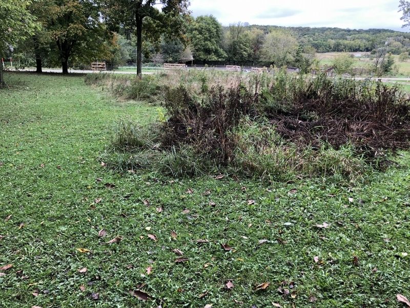 Man Mound. Click for full size. Man Mound image. Click for full size.
