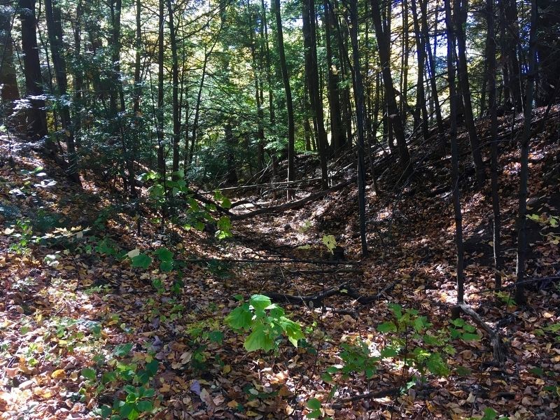 Remnants of the Farmington Canal that parallels the Canal Greenway.. Click for full size. Remnants of the Farmington Canal that parallels the Canal Greenway. image. Click for full size.