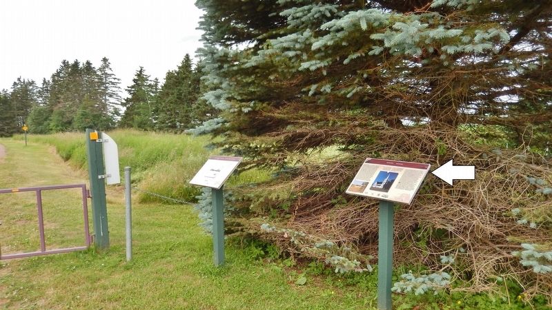 Kinkora Marker &bull; <i>wide view looking south<br>(Confederation Trail on left)</i> image. Click for full size.