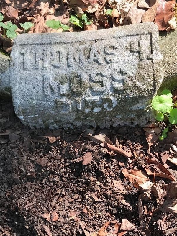 Thomas Moss grave marker image. Click for full size.