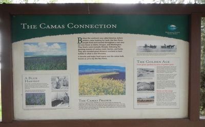 The Camas Connection Marker image. Click for full size.