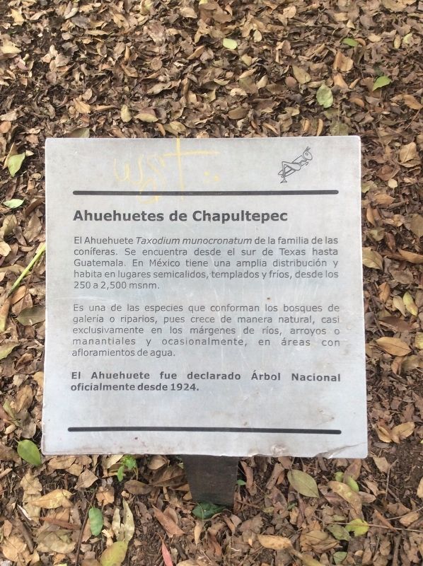 Ahuehuetes of Chapultepec Marker image. Click for full size.