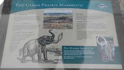 The Camas Prairie Mammoth Marker image. Click for full size.