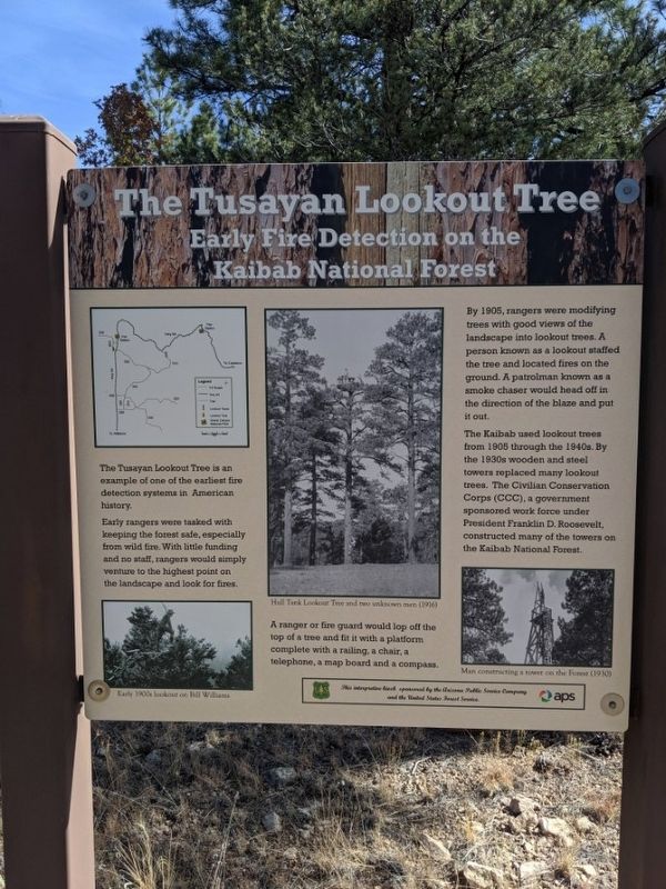 The Tusayan Lookout Tree Marker image. Click for full size.
