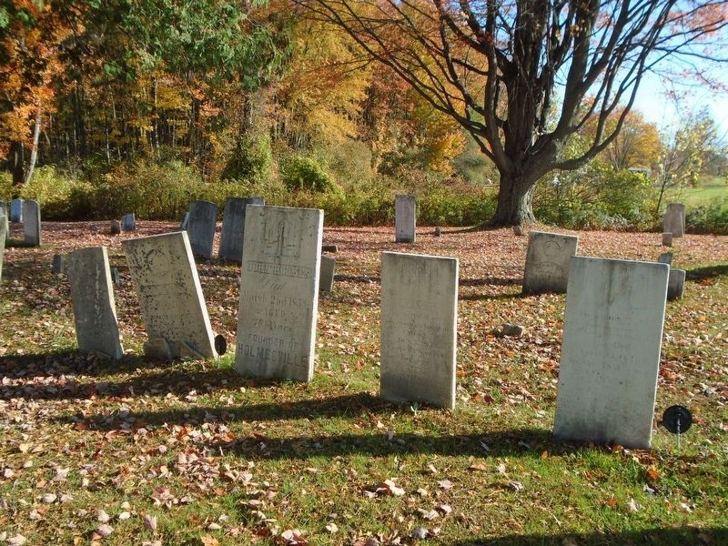 John Holmes Marker in Family Plot image. Click for full size.