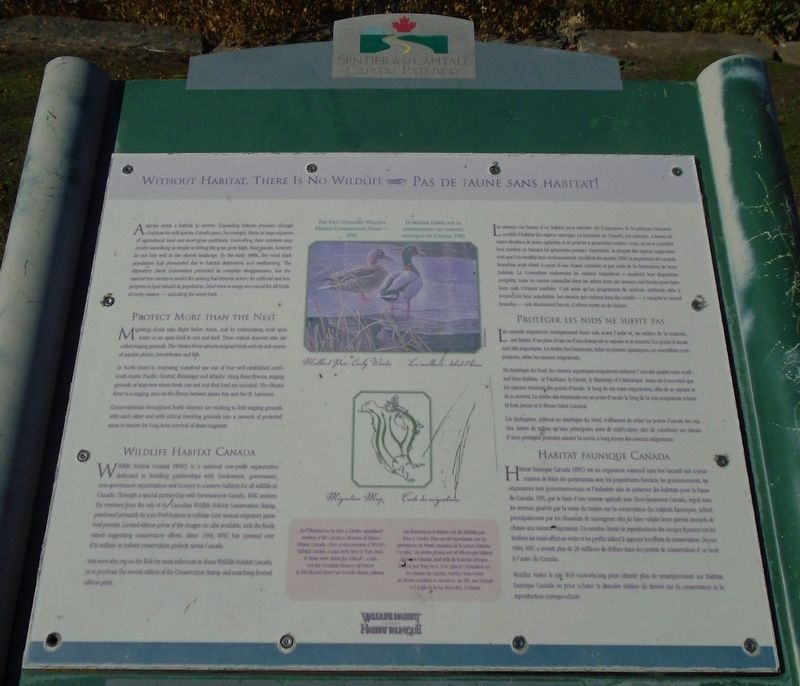 Without Habitat, There Is No Wildlife / Pas de faune sans habitat! Marker. Click for full size. Without Habitat, There Is No Wildlife / Pas de faune sans habitat! Marker image. Click for full size.