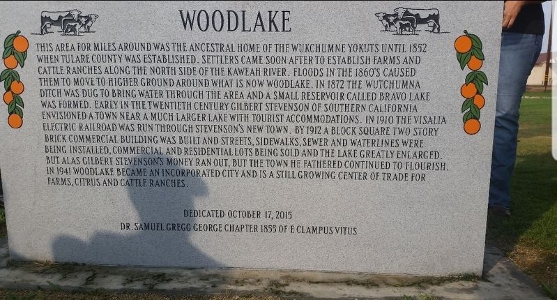 Woodlake Marker image. Click for full size.