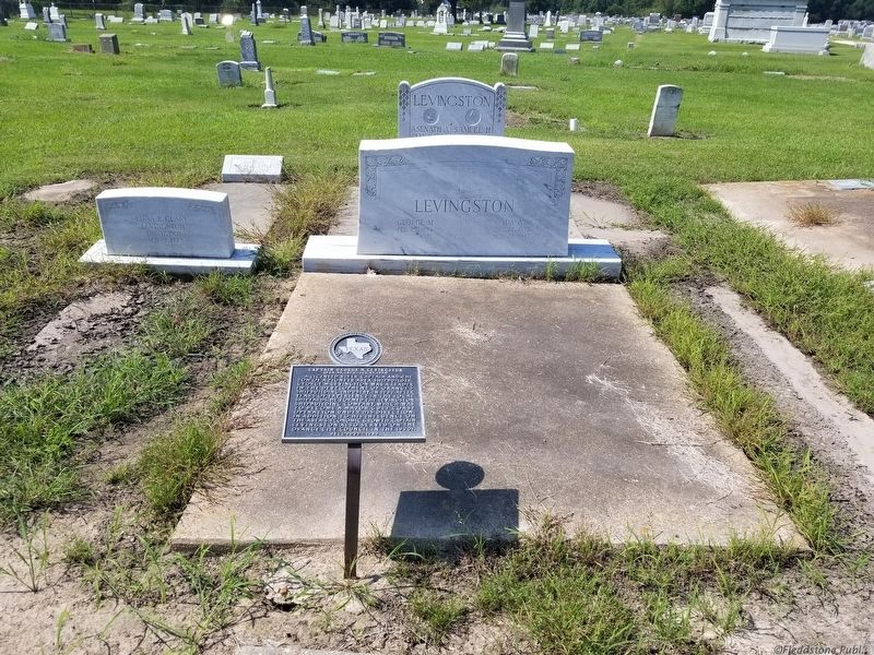 Captain George M. Levingston Marker image. Click for full size.