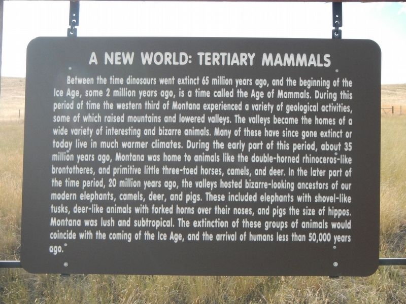 A New World: Tertiary Mammals Marker image. Click for full size.