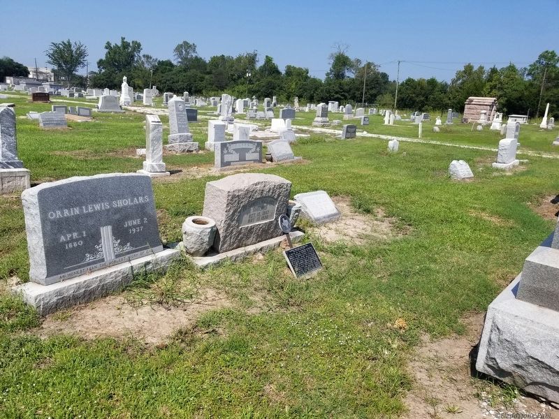 Samuel Wallace Sholars, M.D. Marker image. Click for full size.