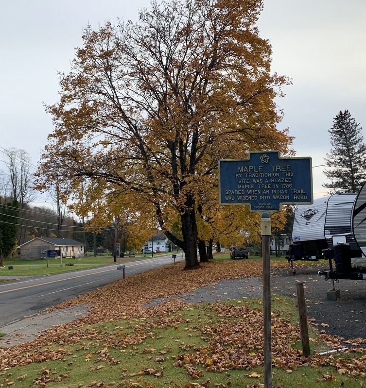 Maple Tree Marker image. Click for full size.