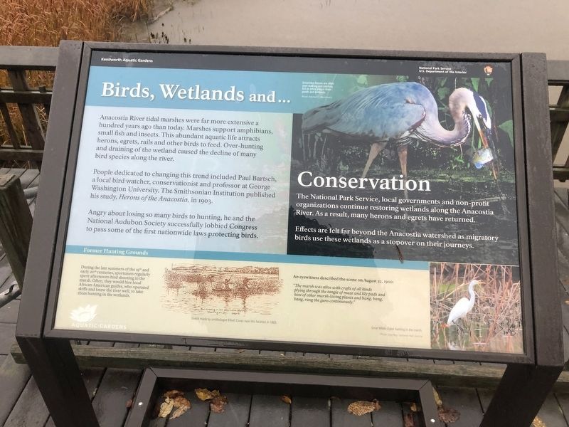 Birds, Wetlands and... Conservation Marker image. Click for full size.