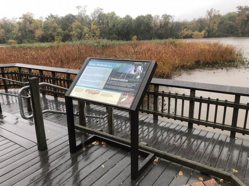 Birds, Wetlands and... Conservation Marker image, Touch for more information