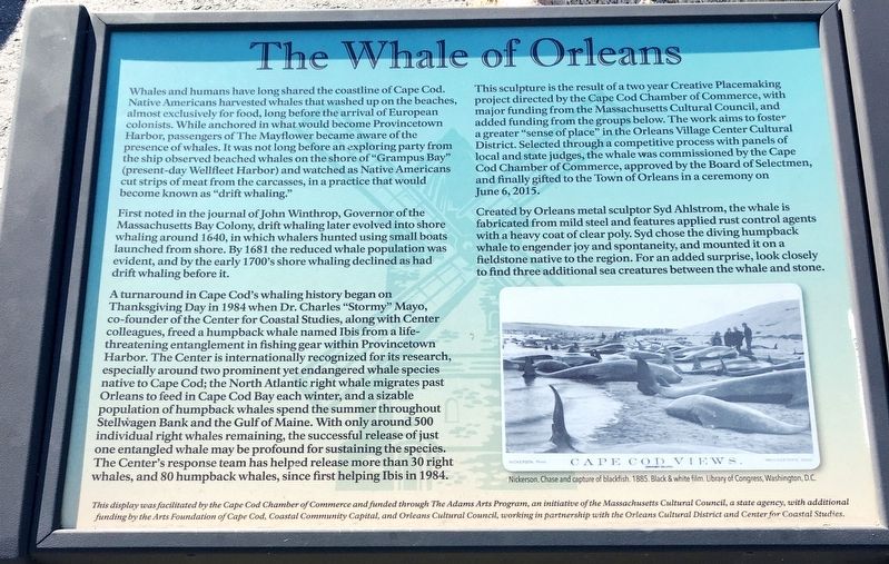 The Whale of Orleans Marker image. Click for full size.
