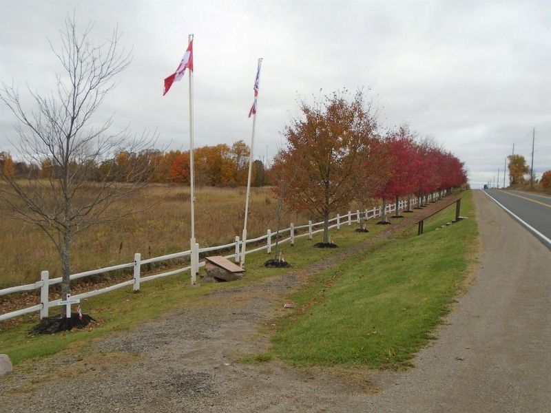 The “Remembrance Road” Memorial. Click for full size. The “Remembrance Road” Memorial image. Click for full size.