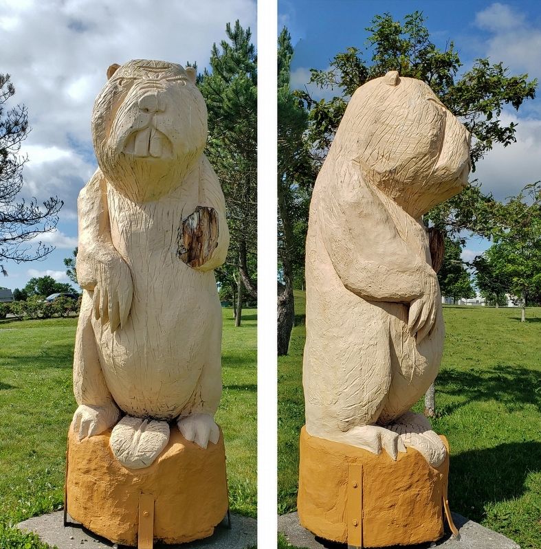 Beaver Statue / Statue de castor image. Click for full size.