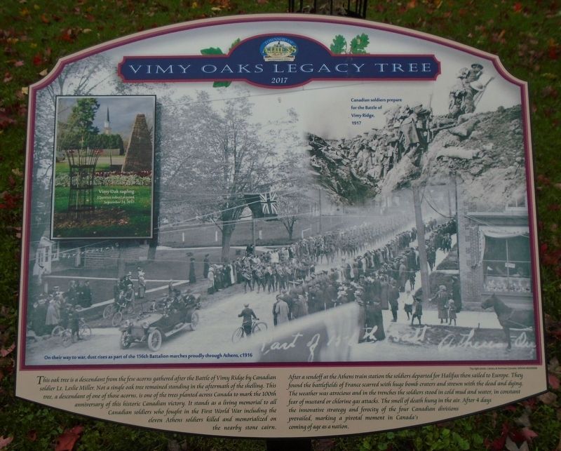 Vimy Oaks Legacy Tree Marker. Click for full size. Vimy Oaks Legacy Tree Marker image. Click for full size.