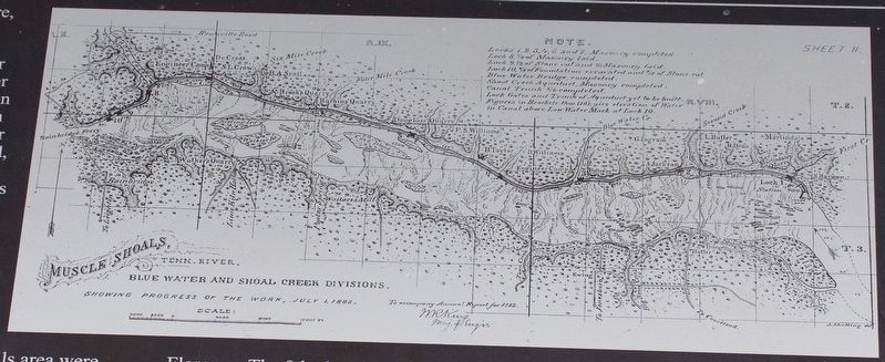 Muscle Shoals Tennessee River Blue Water and Shoals Creek Divisions image. Click for full size.