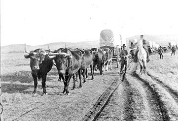 Wagons on the Whoop-up Trail image. Click for full size.