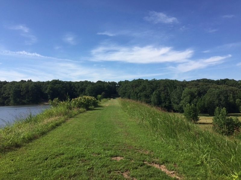 Vicinity of Trail of Tears along the Memphis to Little Rock Road Marker. Click for full size. Vicinity of Trail of Tears along the Memphis to Little Rock Road Marker image. Click for full size.