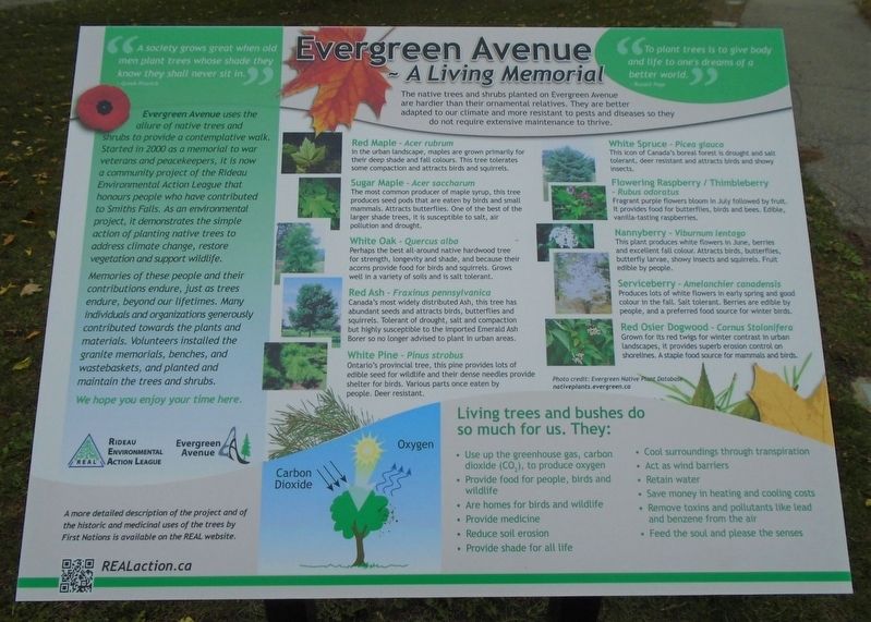 Evergreen Avenue Marker image. Click for full size.