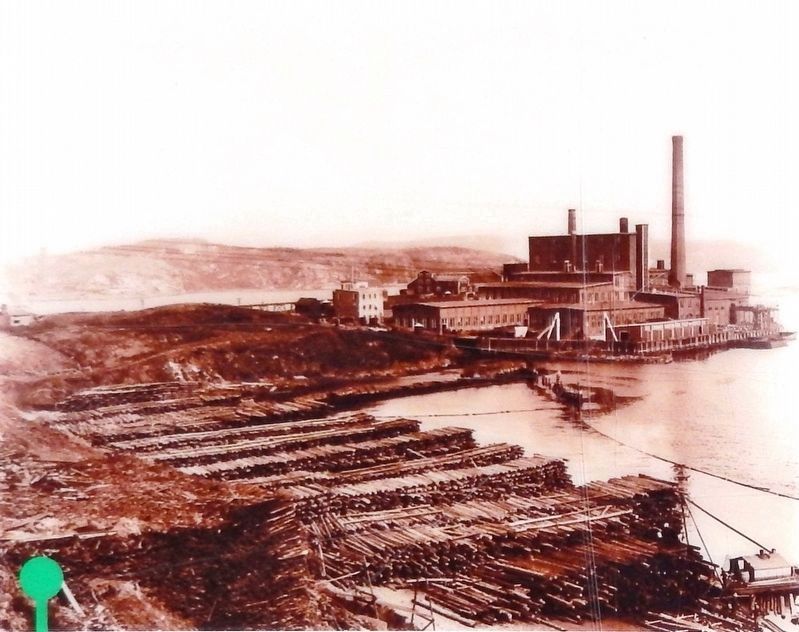 Marker detail: Partington Pulp and Paper Company, 1906. Click for full size. Marker detail: Partington Pulp and Paper Company, 1906 image. Click for full size.