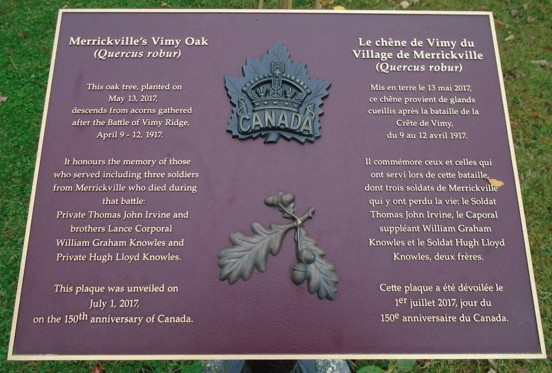 Merrickville's Vimy Oak / Le chêne de Vimy du Village de Merrickville Marker image. Click for full size.