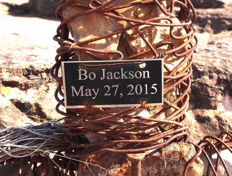 Bo Jackson, May 27, 2015. Click for full size. Bo Jackson, May 27, 2015 image. Click for full size.