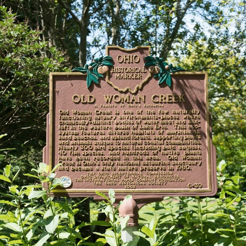 Old Woman Creek Marker. Click for full size. Old Woman Creek Marker image. Click for full size.