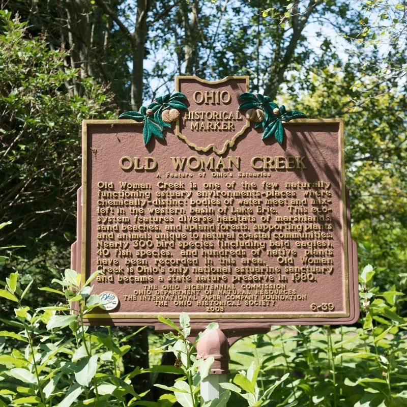 Old Woman Creek Marker image. Click for full size.