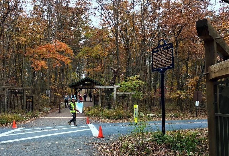 Positioning of marker on Hawk Mountain Road image. Click for full size.