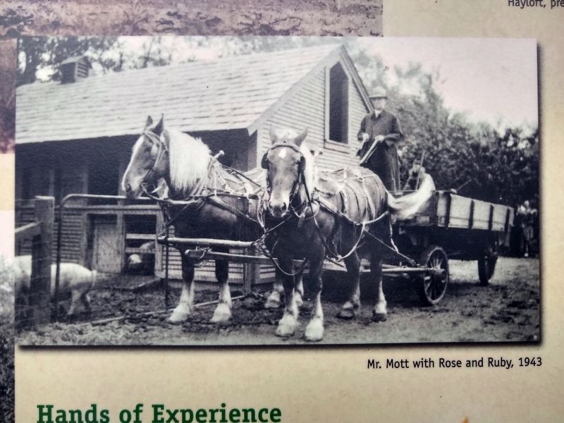 The Heart of the Farm Marker - middle right image image. Click for full size.