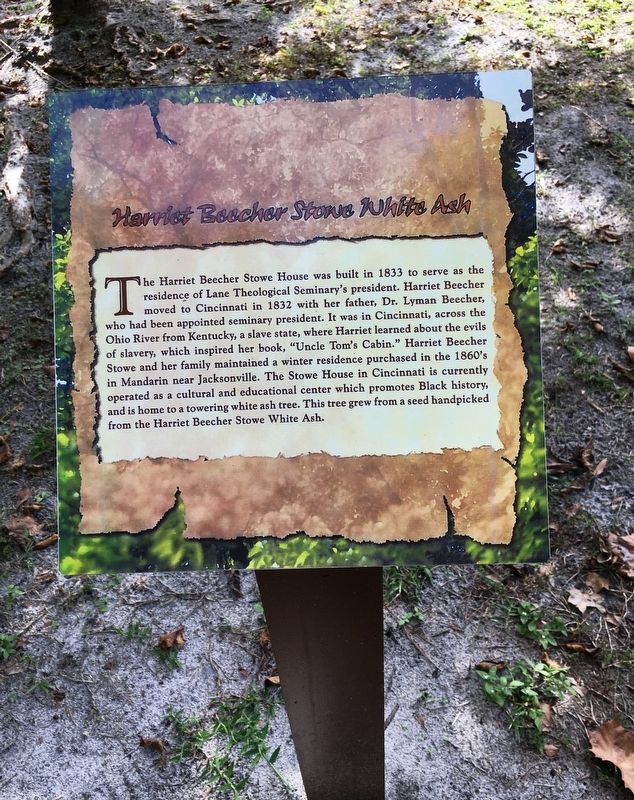 Harriet Beecher Stowe White Ash Marker image. Click for full size.