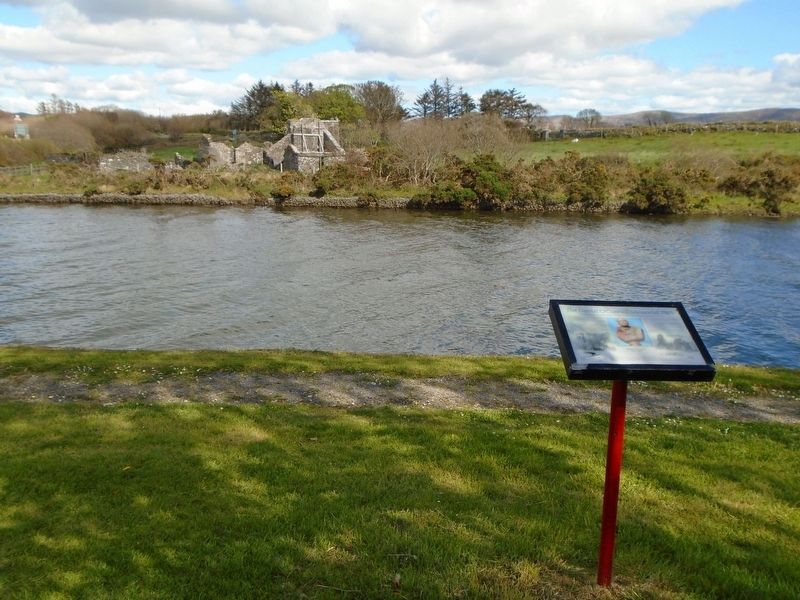 The Daniel O'Connell Memorial Park Marker image. Click for full size.